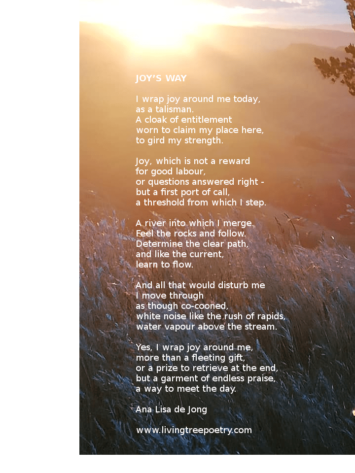 47450857_978443655689363_530651880959770624_n (2)